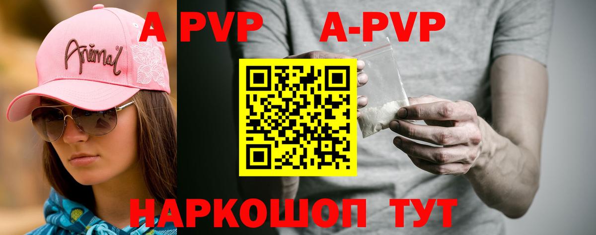Alfa_PVP СК КРИС Железноводск