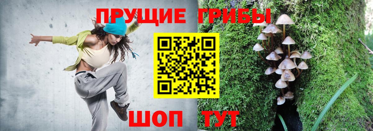 Галлюциногенные грибы ЛСД Железноводск