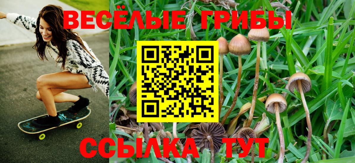 Железноводск  наркотики  Вход с VPN  Псилоцибиновые грибы мухоморы 